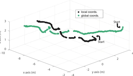 Figure	9.	The	path	of	a	dragonfly	along	a	pond	shore,	showing	the	raw	points	(black)	and	the	path	once	the	points	 have	been	transformed	into	global	coordinates	(green).	The	raw	path	appears	shorter	because	the	camera	rig	was	 rotated	to	follow	the	dragonf