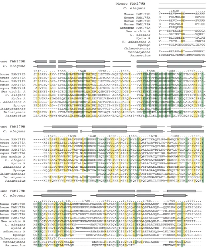 Figure 5. Crescerin Family TOG 4 Sequence Alignment 