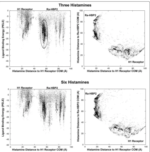 Figure 4 Induced-fit refinement of the double histamine bound to Ra-HBP2.Ra-HBP2 for the first (y-axis) and the second histamine (x-axis) compared to the binding energy (z-axis) of the second histamine