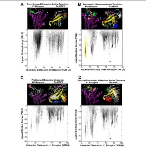 Figure 1 Competitive histamine binding between the human H1R and the tick Ra-HBP.blue>red>darkgrey>orange>yellow>brown>grey>green>white>pink