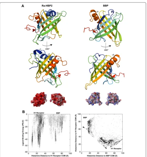 Figure 3 The butterfly lipocalin (BBP) crystal structure was used as a negative control