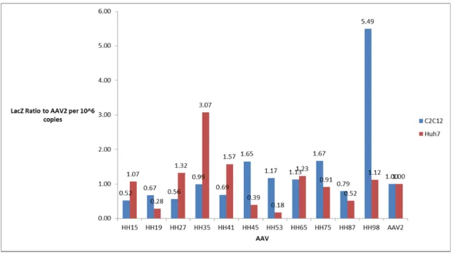 Figure 2. Lac-Z expression of twelve shuffled AAV in ratio to WT AAV2 in C2C12 and Huh7