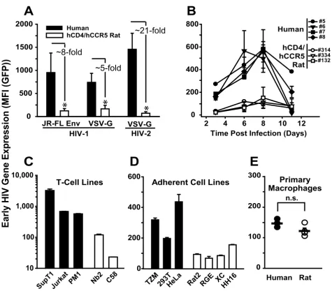 Figure 7Early HIV-1 gene expression is also diminished in infected rat cell lines, but not in infected primary rat macrophageslyzed for GFP expression at day 3 after infection as described in Fig