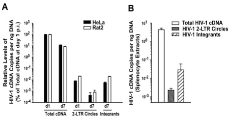 Figure 5infected rat cellsIntegration of HIV-1 into the genome occurs efficiently in Integration of HIV-1 into the genome occurs effi-ciently in infected rat cells