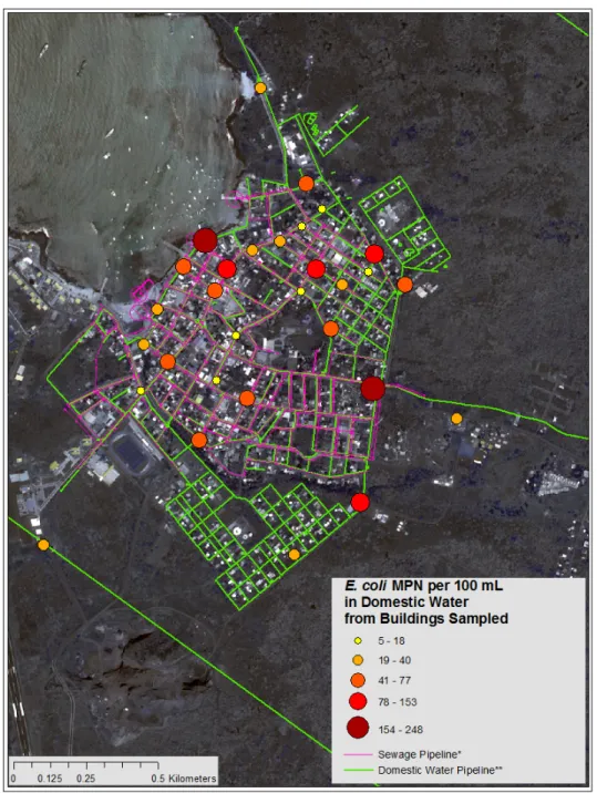 Figure 1. Geometric averages for E. coli concentrations (MPN/ 100 mL) of domestic water  samples collected within Puerto Baquerizo Moreno