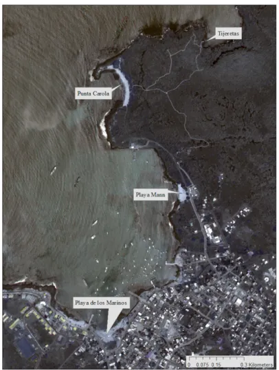 Figure 4. Names of beaches for which dimensions are given in Table 1. 