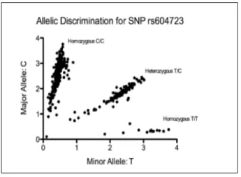 Figure 2: Allelic Discrimination Plot for SNP  rs604723 for 510 human cDNA samples obtained  from Lenoir County Database