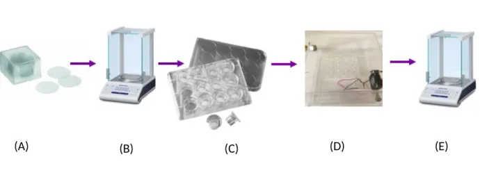 Figure 2. 12-mm glass cover slips (A), were weighed pre-exposure on a microbalance (B), they were then inserted into a 12-mm insert transwell cell culture plate (C), the culture plate and coverslips were then placed in our exposure chamber (D), we ran the 