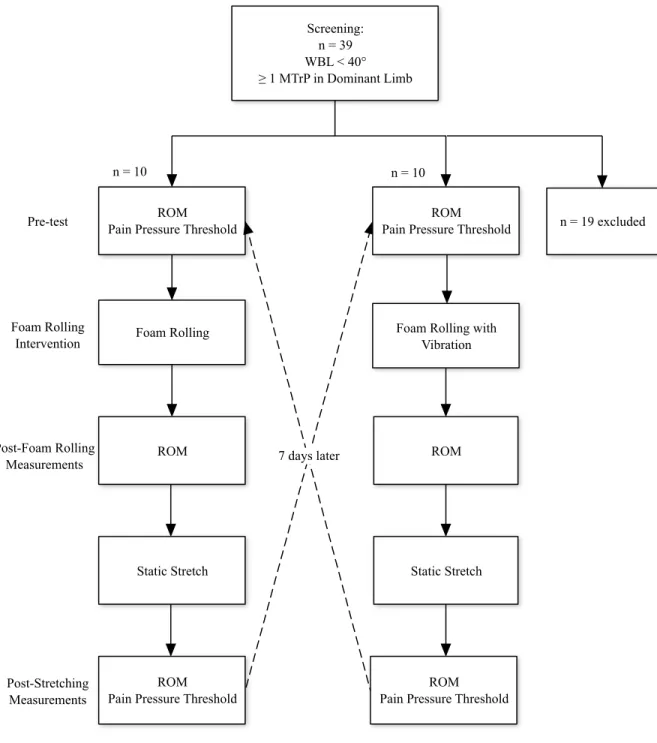 Figure 1: Experimental Procedures.  Testing sessions were completed 7 days apart,  depicted by the dashed lines