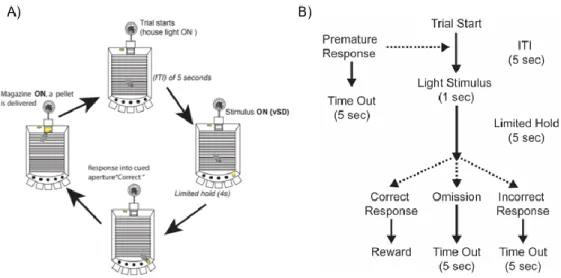 Figure 1. Diagram and flow chart of the 5-Choice serial reaction time task;  