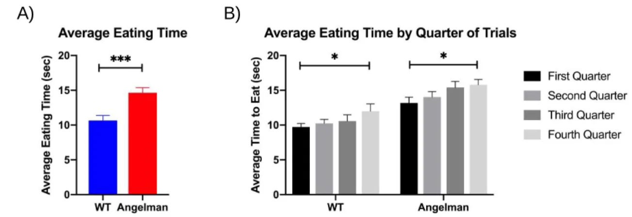 Figure 2. Differences in eating times by group and over the course of the trials; A)  Average eating time for both AS and wildtype mice over all trials of the last training day  of SD 16; B) Averages of the 4 bins for both groups on the last day of trainin