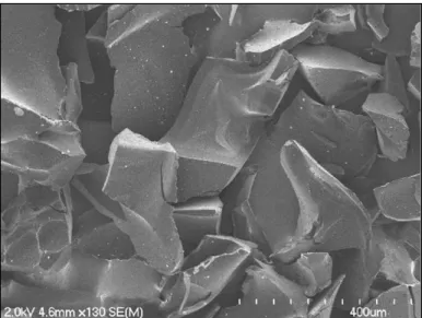 Figure 1. SEM image of PEEK60; the scale is 400  µm. Image courtesy (4). 