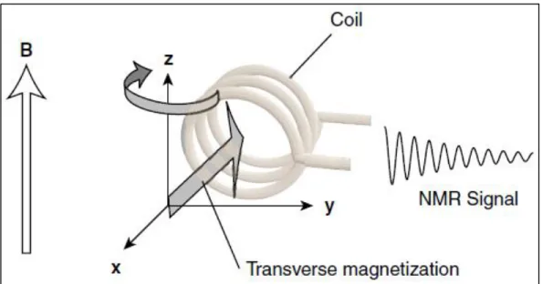 Figure 2. Elements of NMR experiment. The static ‘B’ field is set-up by the NMR  spectrometer; the coil allows for the free-induction decay NMR signal to be  measured