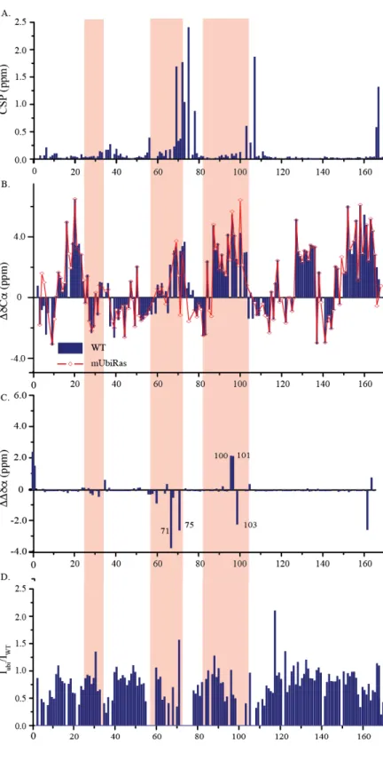 Figure 4. Monoubiquitination of KRas  at 104 causes structural perturbations  in helix 2 and helix 3