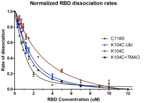 Table 1. Relative fold differences in rates of Sos exchange and hydrolysis for mUbRAS 104 compared to WT
