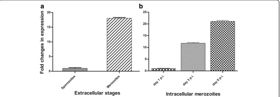 Fig. 2 Schematic representation of predicted transmembrane topology of CSUI_005805 protein