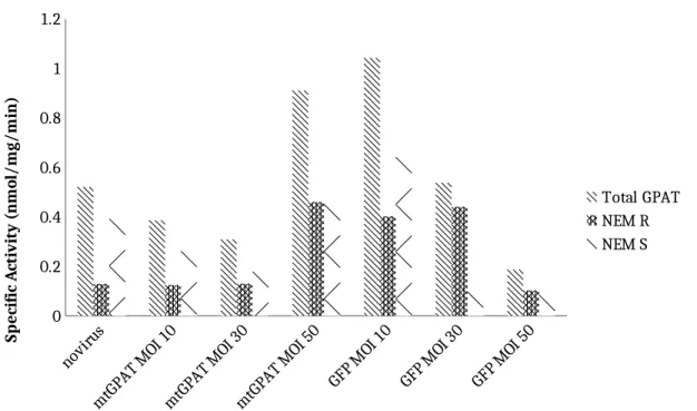 Figure 3), which showed a minimal contribution of GPAT1 to total activity. Therefore, within  primary mouse hepatocytes, GPAT1 contributes a greater amount of activity than in Hepa 1-6  cells