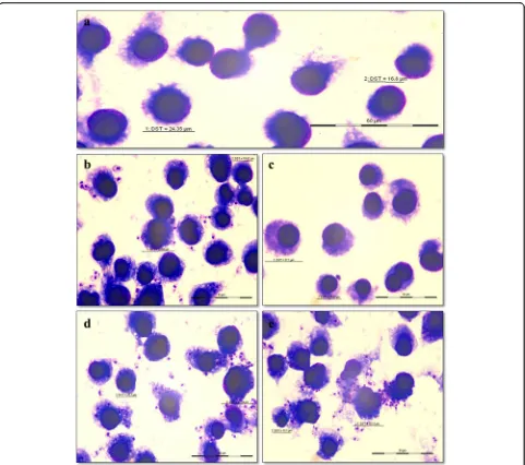 Fig. 4 Theshowing clearance of amastigotes.macrophages.cells infected with DD8 strain but untreated with miltefosine showing amastigotes within macrophages