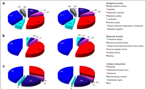 Fig. 1 Functional annotations of the assembled sequences without (gallinaceum.tion (left) and with (right) quality trimming from the blood stages of Plasmodium  The pie charts show the number of sequences that are grouped into three general categories: biological process (a), molecular func-b) and cellular components (c).