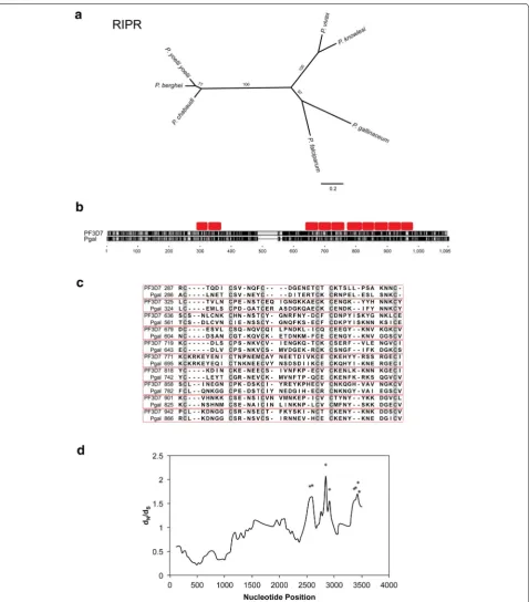 Fig. 3 Comparison of indicate regions with a significant excess of non-synonymous substitutions (P Plasmodium rip