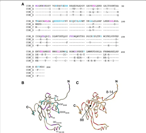 Figure 7 Inter-subtype comparison of Nef sequences in the context of known Nef functional motifs.sequences from this study are shown using a structure model of Nef