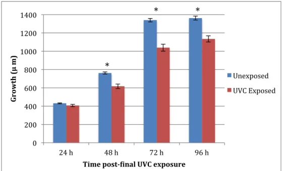 Figure 8. N2 growth after three consecutive exposures to 7.5 J/m 2  UVC (n = 20).  