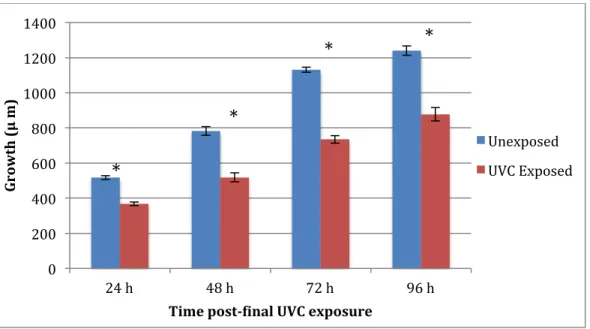 Figure 9. sod-2/3 growth after three consecutive exposures to 7.5 J/m 2  UVC (n = 20)
