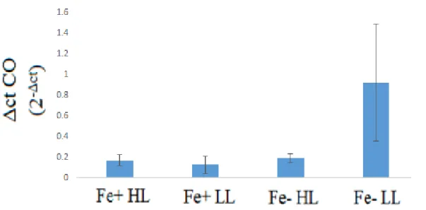 Figure 7. Relative levels of gene expression of carotenoid oxygenase. Note the Δct CO  represents the expression of carotenoid oxygenase relative to actin