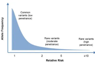 Figure 2. Analysis was focused on rare, highly penetrant variants. Given the low  incidence of most hereditary cancer syndromes in the population, common  variants are unlikely to contribute to hereditary cancer predisposition