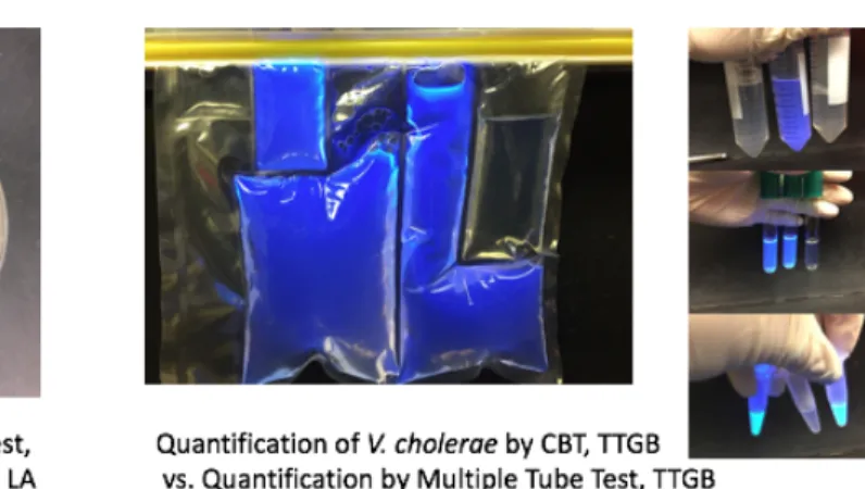 Figure 1. Illustration of the previous experimentation that led to the current study. V