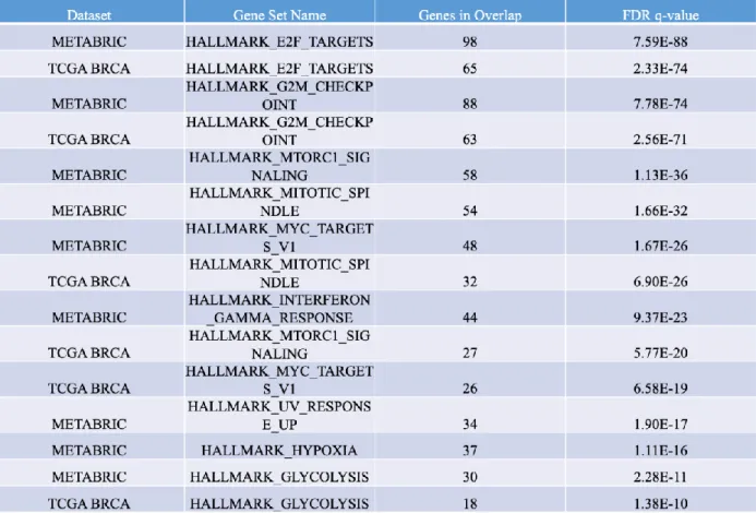 Table 3: cBioPortal analysis of significantly overexpressed hallmark pathways in tumor samples  with miR-15b amplification
