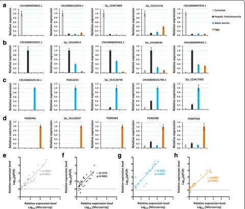 Fig. 4 qPCR validation of stage-enriched genes. The expression of 5 selected genes enriched in cercariae (developmental stages