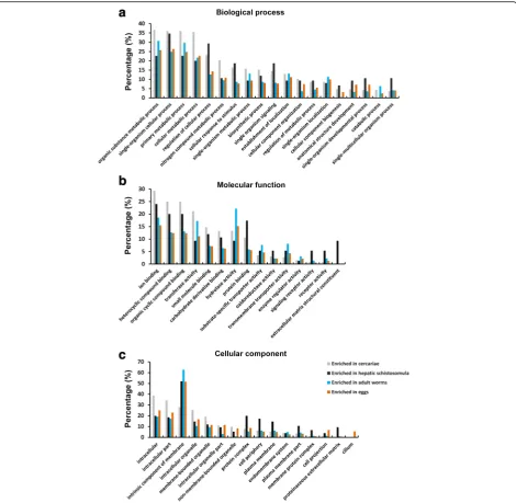 Fig. 5 GO analysis of mRNA transcripts enriched in the four developmental stages ofmapped genes S