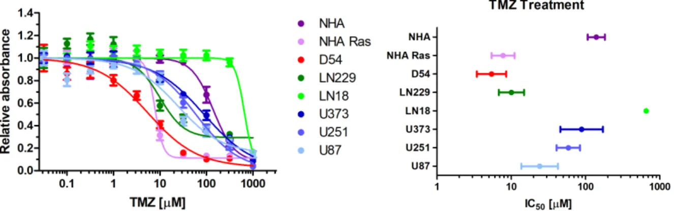 Figure 2 (A) Each cell line was treated with varying concentrations of TMZ and was 