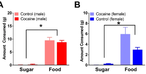 Figure 3: Effect of sugar devaluation on free food choice. Both groups consumed little to no sugar when  presented with the option of consuming food or sugar, demonstrating successful devaluation of the sugar
