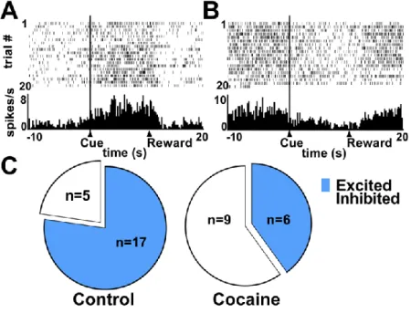 Figure 5: PrL neurons shift population response profiles to cues following devaluation
