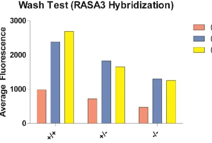 Figure 6. RASA3 hybridization at two concentrations of Triton (and a control) for the same  genotypes as in Figure 5