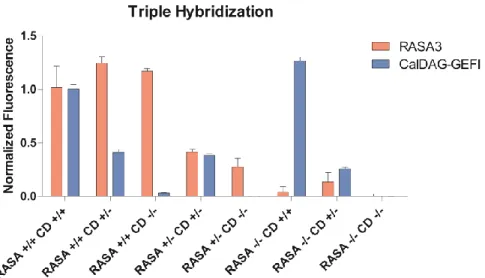 Figure 7. CalDAG-GEFI and RASA3 hybridization with GPIB used as a platelet marker. Values  all normalized to the wild-type mean fluorescences