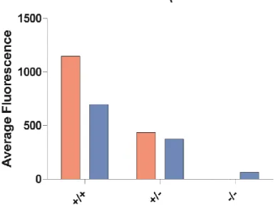 Figure 3. Comparison of fluorescences in whole blood and platelet-rich plasma for CalDAG- CalDAG-GEFI wild-type, heterozygous, and knockout mice