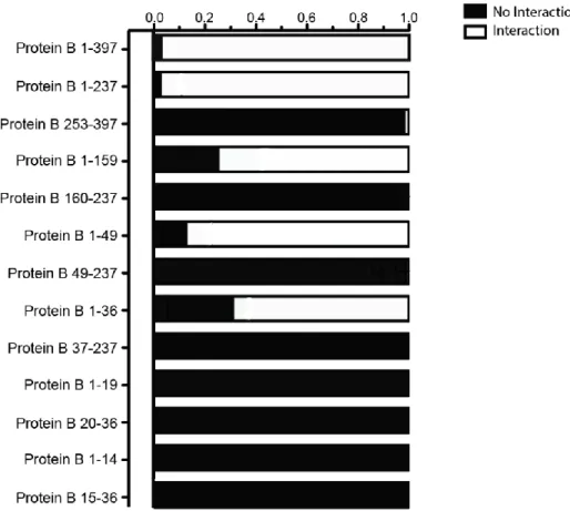 Table 1. Mean Score Test for the general association between different Protein B constructs  and their corresponding interaction strength with Protein A-1