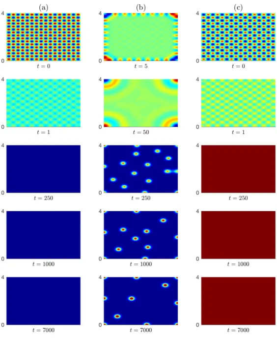Figure 2: Output of the continuum simulation for η = 0.01, γ = 0. (a) Homogeneous destitution, ρ = 0.9