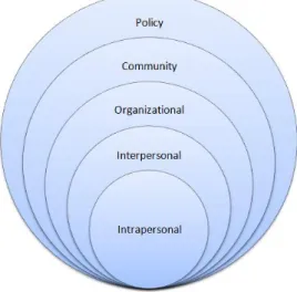 Figure 1: Social Ecological Framework 