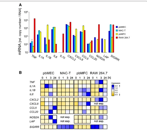 Figure 1 Basal expression level of immune genes and its modulation after challenging with heat-killed E