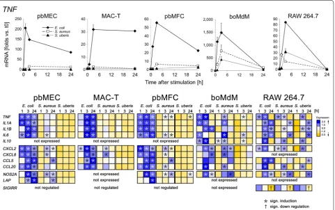 Figure 3 in NF‑κB activity was measured from cell lysates sampled 24 h after the challenge