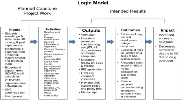 Figure 1: Logic Model  