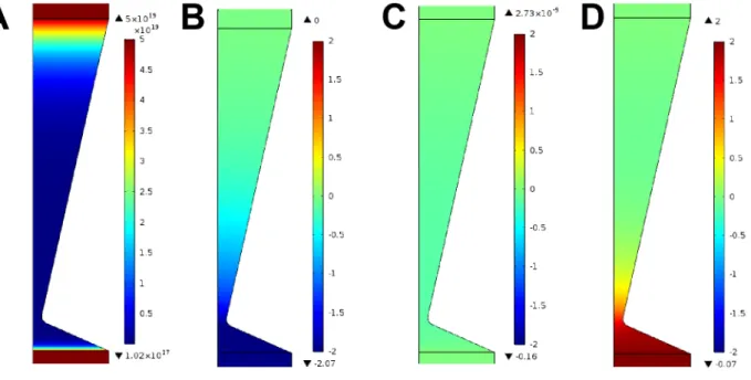 Figure 8.  COMSOL Simulations 