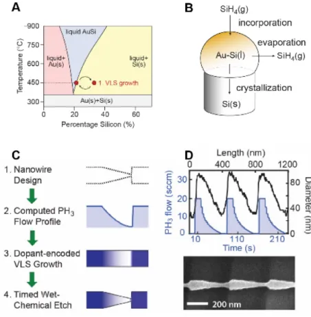Figure 1.  VLS Growth of Nanowires and ENGRAVE 