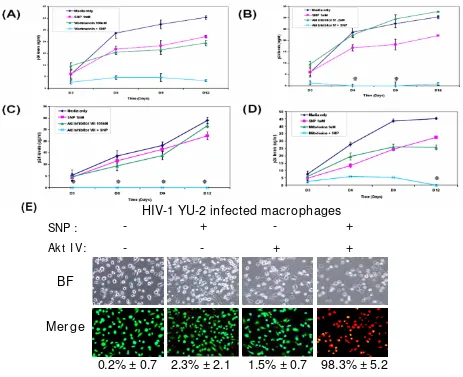 Figure 1Treatment of HIV-infected macrophages with PI3K/Akt inhibitors reduces HIV-1 production and induces cell deathwith one of four different PI3K/Akt kinase inhibitors in the presence or absence of stress (SNP, 1 mM): wortmannin (100 nM), tants were co