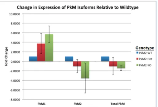 Figure 7. Fold change for expression of PkM1, PkM2 and total M-isoform pyruvate kinases (PkM1/2) for each of  the PkM2 genotype variants relative to wild-type (WT=1)