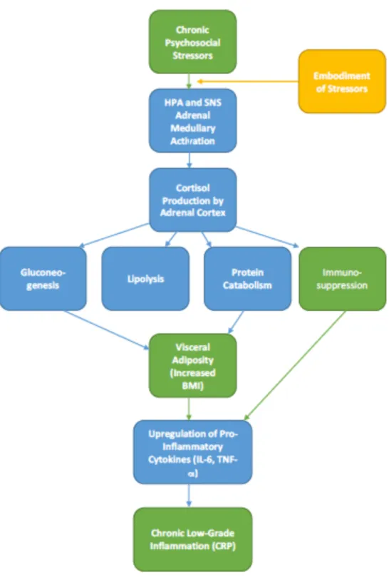 Figure 1. Flow diagram outlining the intersection of daily experience and pathophysiology as a  framework for this thesis 